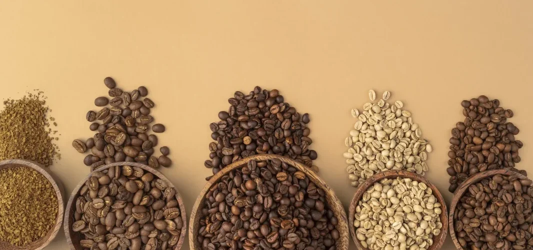 انواع دانه قهوه را بشناسیم!