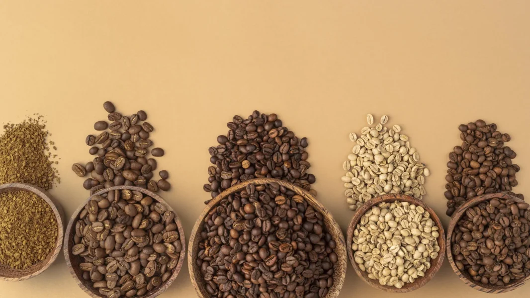 انواع دانه قهوه را بشناسیم!