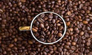 تولید قهوه در ایران به صورت رسمی از سال 84 آغاز شد.