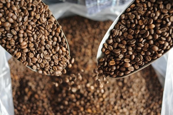 قهوه بلند چیست؟